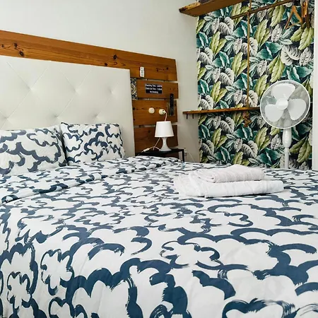 Grand Sasimi House Guest house *