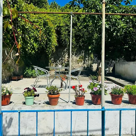 Grand Sasimi House Guest house Porto